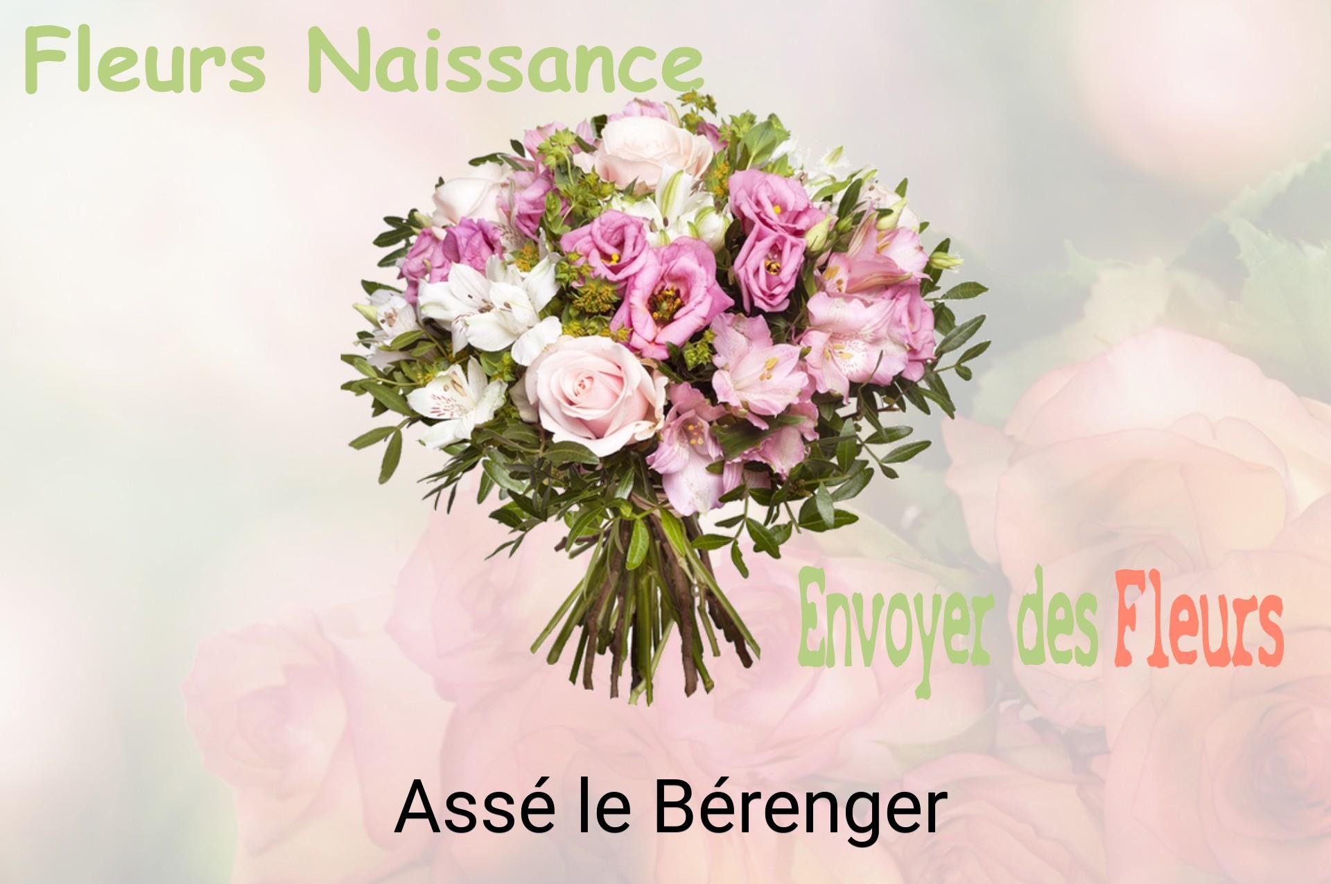 Bouquet de fleurs de naissance livré à Assé-le-Bérenger